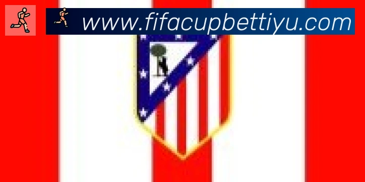 FIFA世界杯竞猜入口合作伙伴